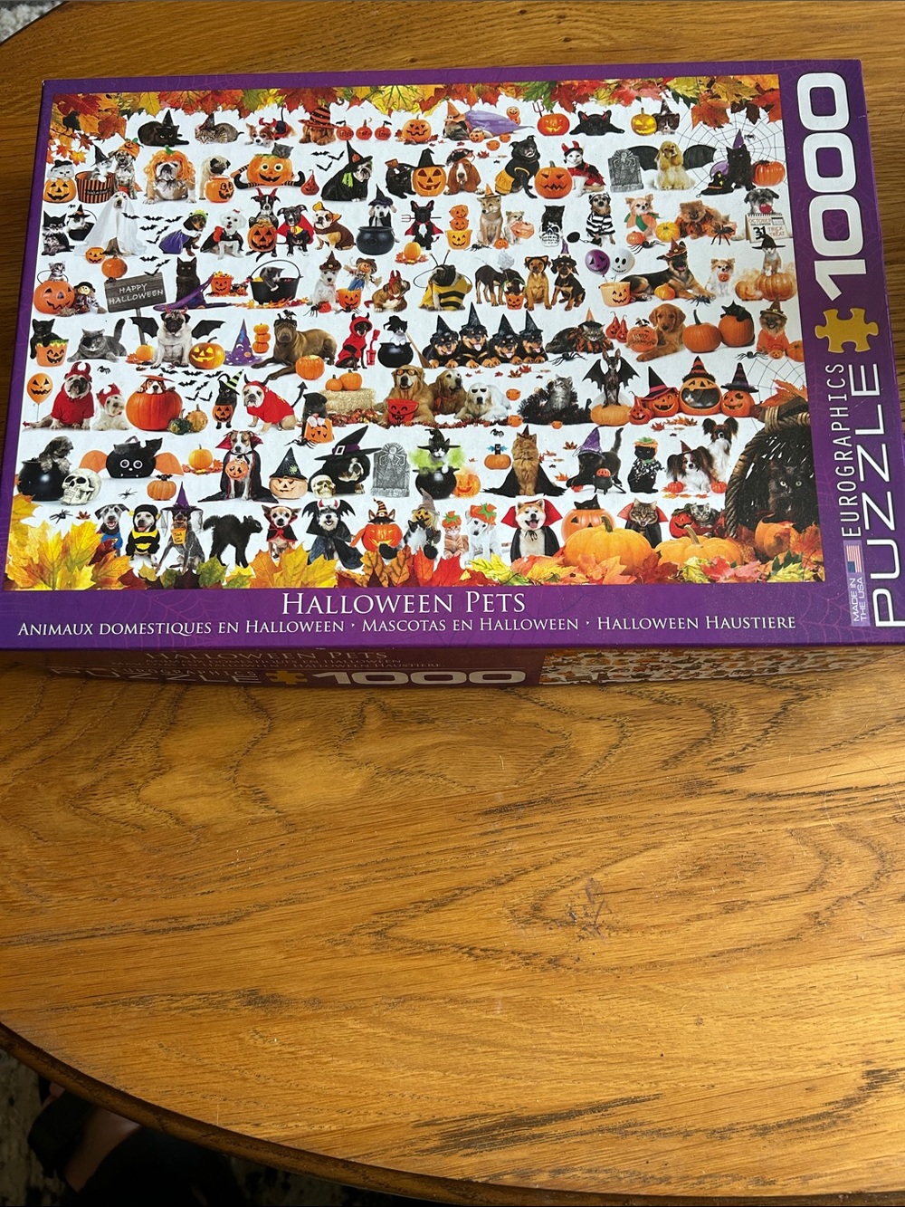 Halloween Pets Kids Costume Puzzle - Purple